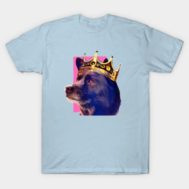 Regal Baloo T-Shirt by GeekBro Podcast Network